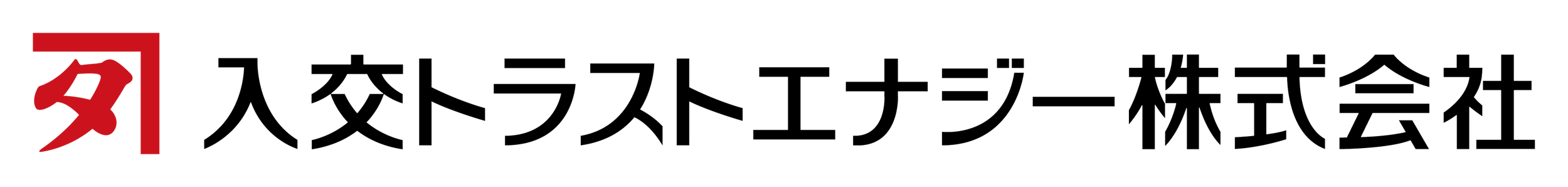 入交トラストエナジー株式会社
